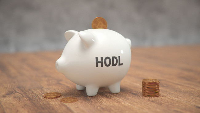 Image result for no hodl